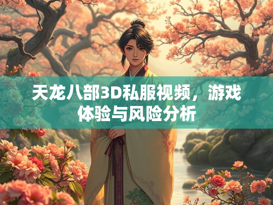 天龙八部3D私服视频，游戏体验与风险分析