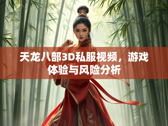 天龙八部3D私服视频，游戏体验与风险分析