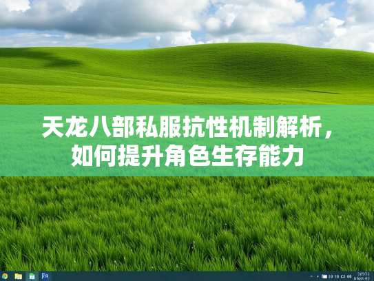 天龙八部私服抗性机制解析，如何提升角色生存能力  第1张
