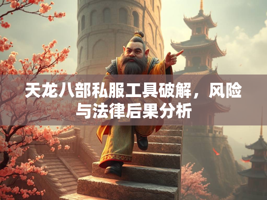 天龙八部私服工具破解，风险与法律后果分析  第2张