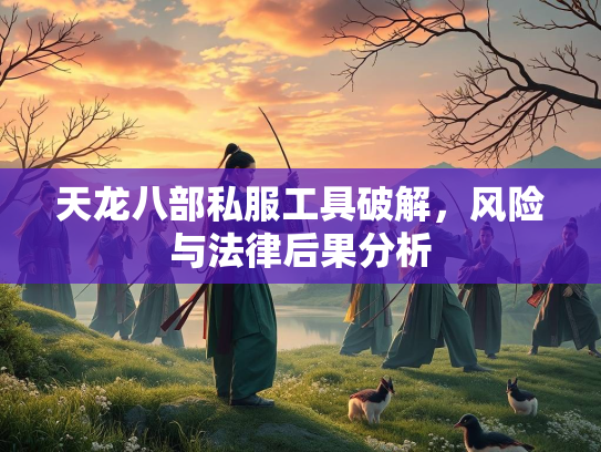 天龙八部私服工具破解，风险与法律后果分析  第1张