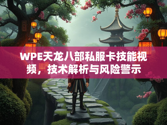 WPE天龙八部私服卡技能视频，技术解析与风险警示
