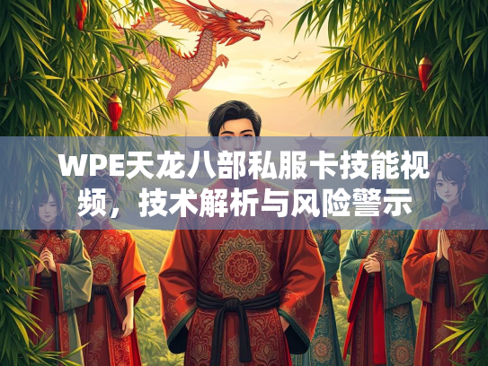 WPE天龙八部私服卡技能视频，技术解析与风险警示