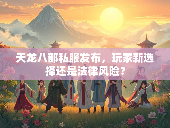 天龙八部私服发布，玩家新选择还是法律风险？  第2张