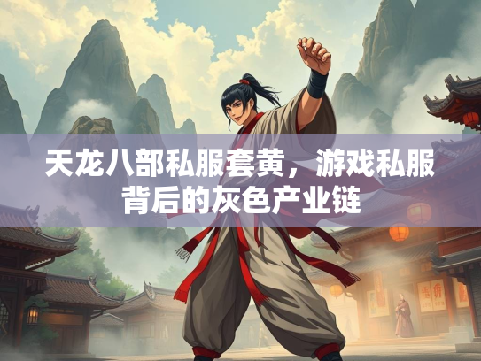 天龙八部私服套黄，游戏私服背后的灰色产业链