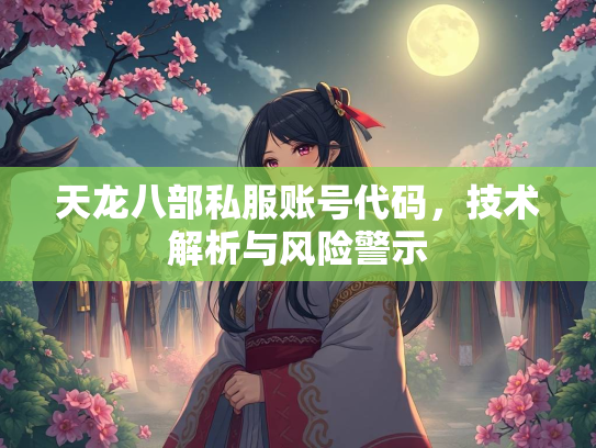 天龙八部私服账号代码，技术解析与风险警示