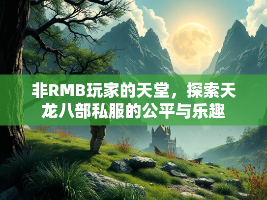 非RMB玩家的天堂，探索天龙八部私服的公平与乐趣  第2张