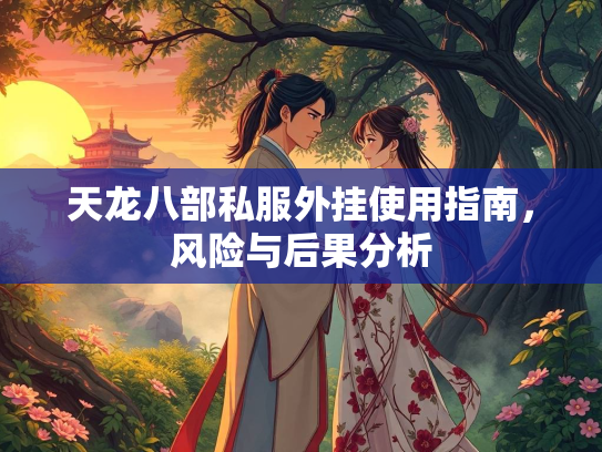天龙八部私服外挂使用指南，风险与后果分析  第2张