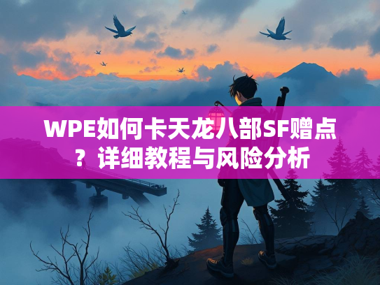 WPE如何卡天龙八部SF赠点？详细教程与风险分析  第3张