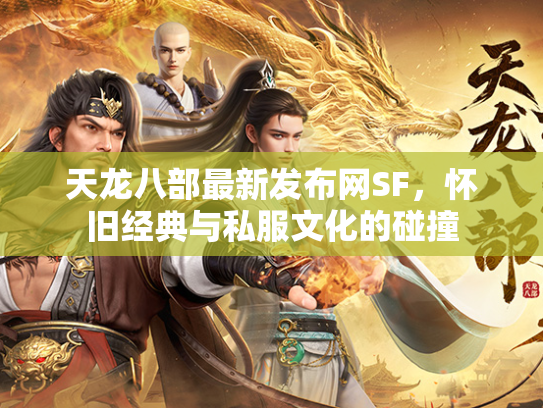 天龙八部最新发布网SF，怀旧经典与私服文化的碰撞  第3张