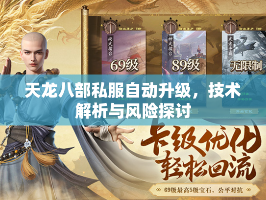 天龙八部私服自动升级，技术解析与风险探讨  第3张