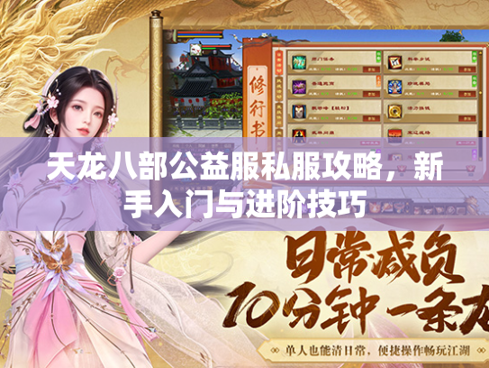 天龙八部公益服私服攻略，新手入门与进阶技巧  第2张