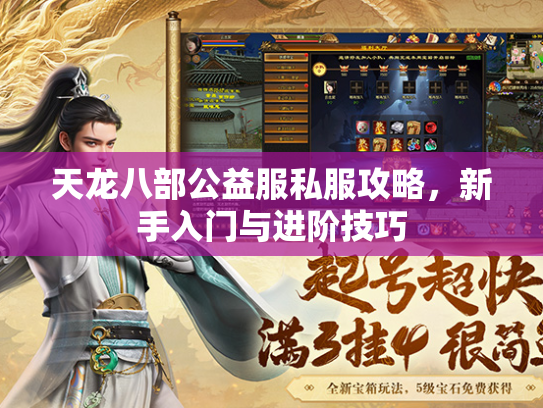 天龙八部公益服私服攻略，新手入门与进阶技巧  第1张