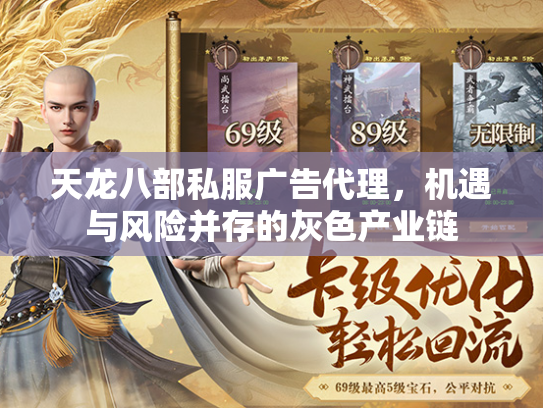 天龙八部私服广告代理，机遇与风险并存的灰色产业链  第3张