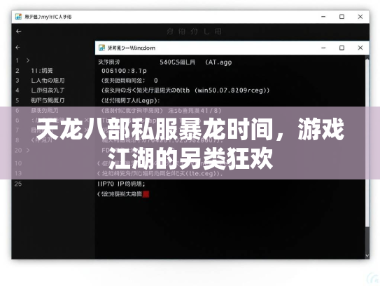 天龙八部私服暴龙时间，游戏江湖的另类狂欢  第1张
