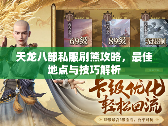 天龙八部私服刷熊攻略，最佳地点与技巧解析  第2张