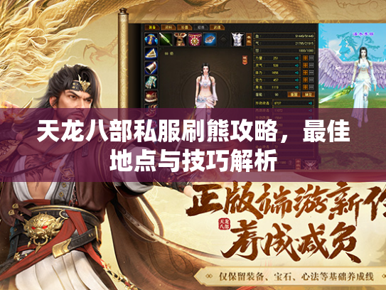 天龙八部私服刷熊攻略，最佳地点与技巧解析  第1张