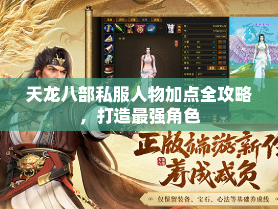 天龙八部私服人物加点全攻略，打造最强角色  第2张