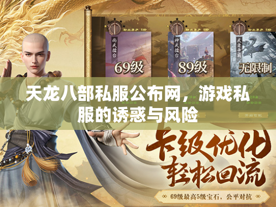 天龙八部私服公布网，游戏私服的诱惑与风险  第3张