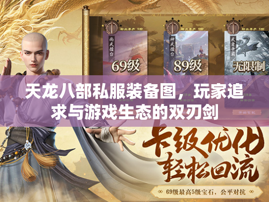 天龙八部私服装备图，玩家追求与游戏生态的双刃剑  第3张