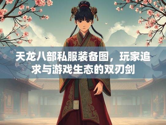 天龙八部私服装备图，玩家追求与游戏生态的双刃剑  第1张