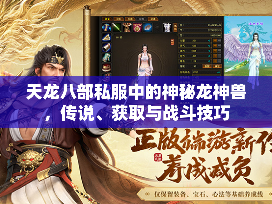 天龙八部私服中的神秘龙神兽，传说、获取与战斗技巧  第3张