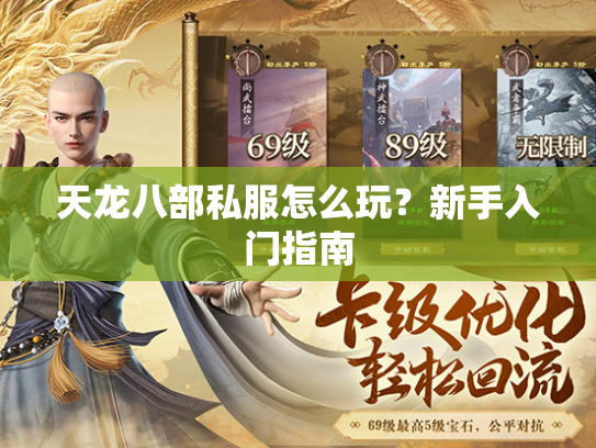 天龙八部私服怎么玩？新手入门指南  第1张