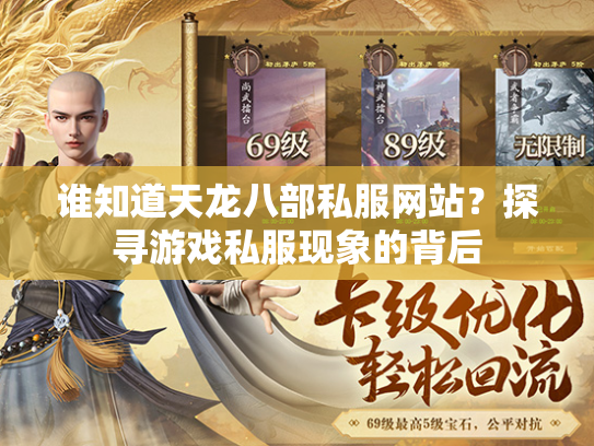 谁知道天龙八部私服网站？探寻游戏私服现象的背后  第1张
