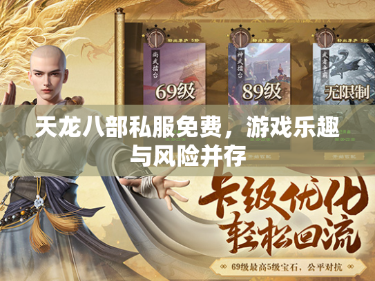 天龙八部私服免费，游戏乐趣与风险并存  第2张