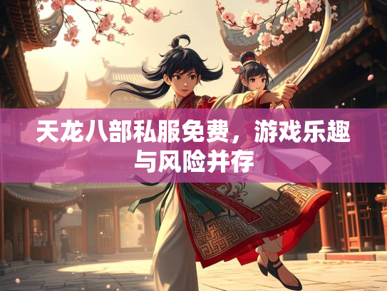 天龙八部私服免费，游戏乐趣与风险并存  第3张