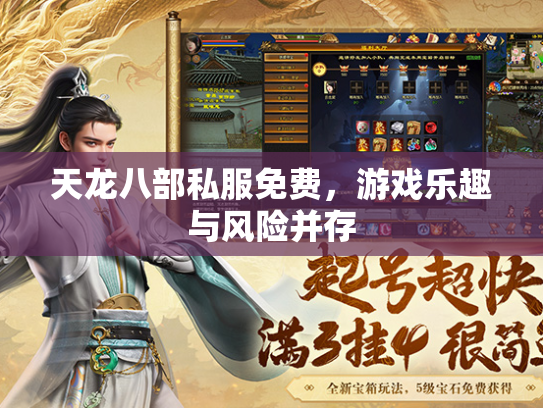 天龙八部私服免费，游戏乐趣与风险并存  第1张
