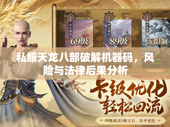 私服天龙八部破解机器码，风险与法律后果分析  第2张