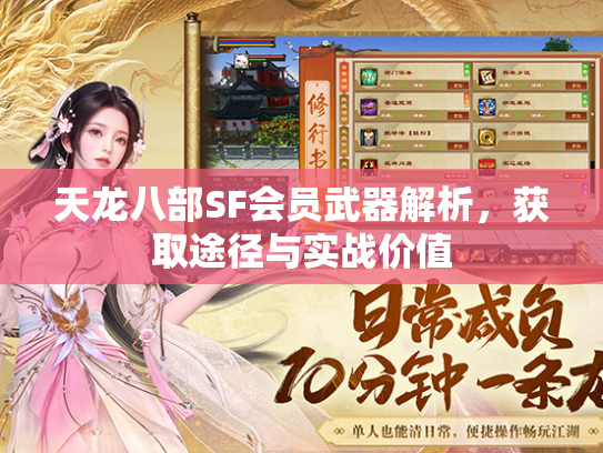 天龙八部SF会员武器解析，获取途径与实战价值  第2张