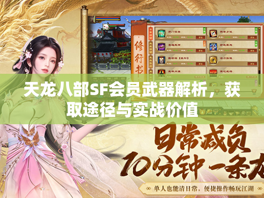 天龙八部SF会员武器解析，获取途径与实战价值  第3张