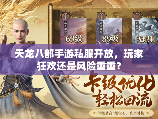 天龙八部手游私服开放，玩家狂欢还是风险重重？  第2张