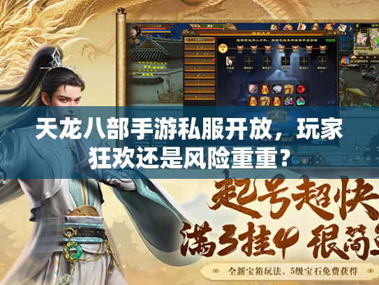 天龙八部手游私服开放，玩家狂欢还是风险重重？  第3张