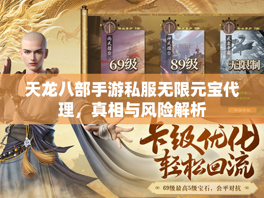 天龙八部手游私服无限元宝代理，真相与风险解析  第2张