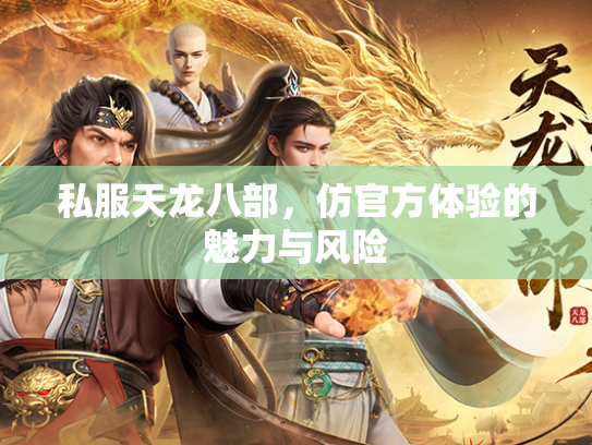 私服天龙八部，仿官方体验的魅力与风险  第2张