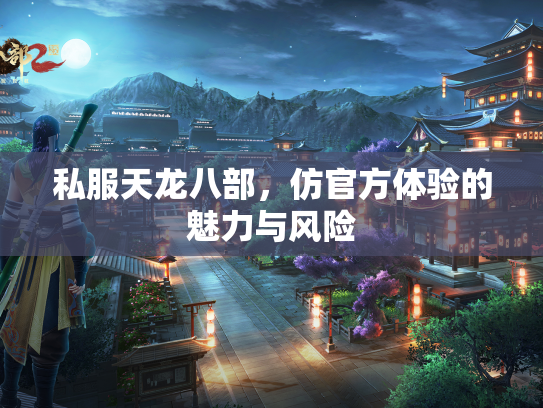 私服天龙八部，仿官方体验的魅力与风险  第1张