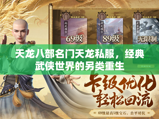 天龙八部名门天龙私服，经典武侠世界的另类重生  第3张