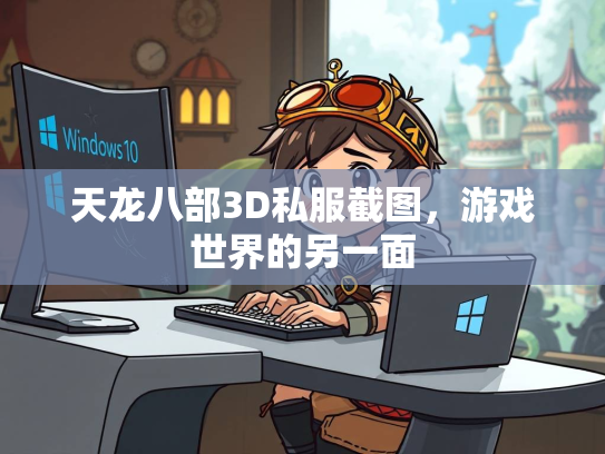 天龙八部3D私服截图，游戏世界的另一面