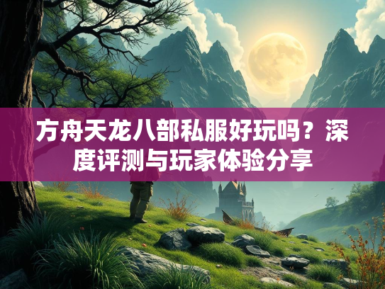 方舟天龙八部私服好玩吗？深度评测与玩家体验分享  第1张
