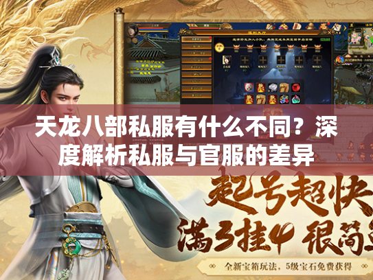 天龙八部私服有什么不同？深度解析私服与官服的差异  第3张