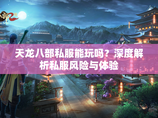 天龙八部私服能玩吗？深度解析私服风险与体验  第2张