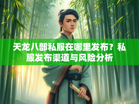 天龙八部私服在哪里发布？私服发布渠道与风险分析  第3张