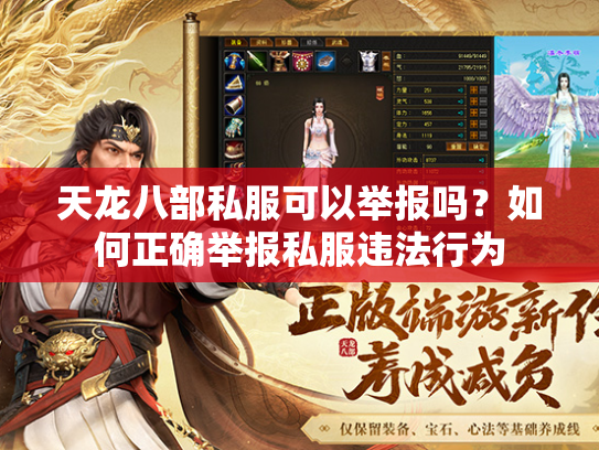 天龙八部私服可以举报吗？如何正确举报私服违法行为  第1张