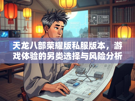 天龙八部荣耀版私服版本，游戏体验的另类选择与风险分析  第3张