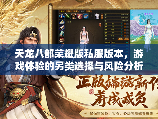 天龙八部荣耀版私服版本，游戏体验的另类选择与风险分析  第4张