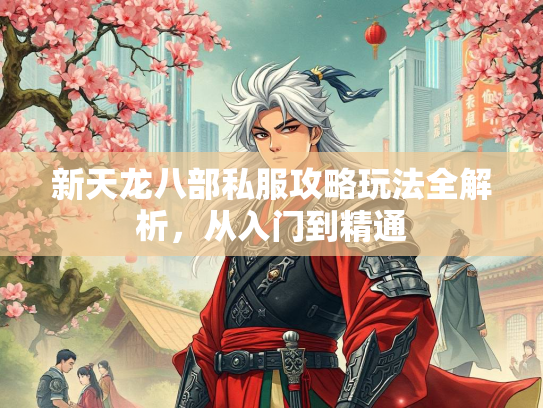 新天龙八部私服攻略玩法全解析，从入门到精通  第3张