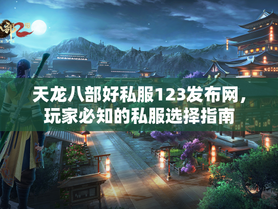 天龙八部好私服123发布网，玩家必知的私服选择指南  第2张